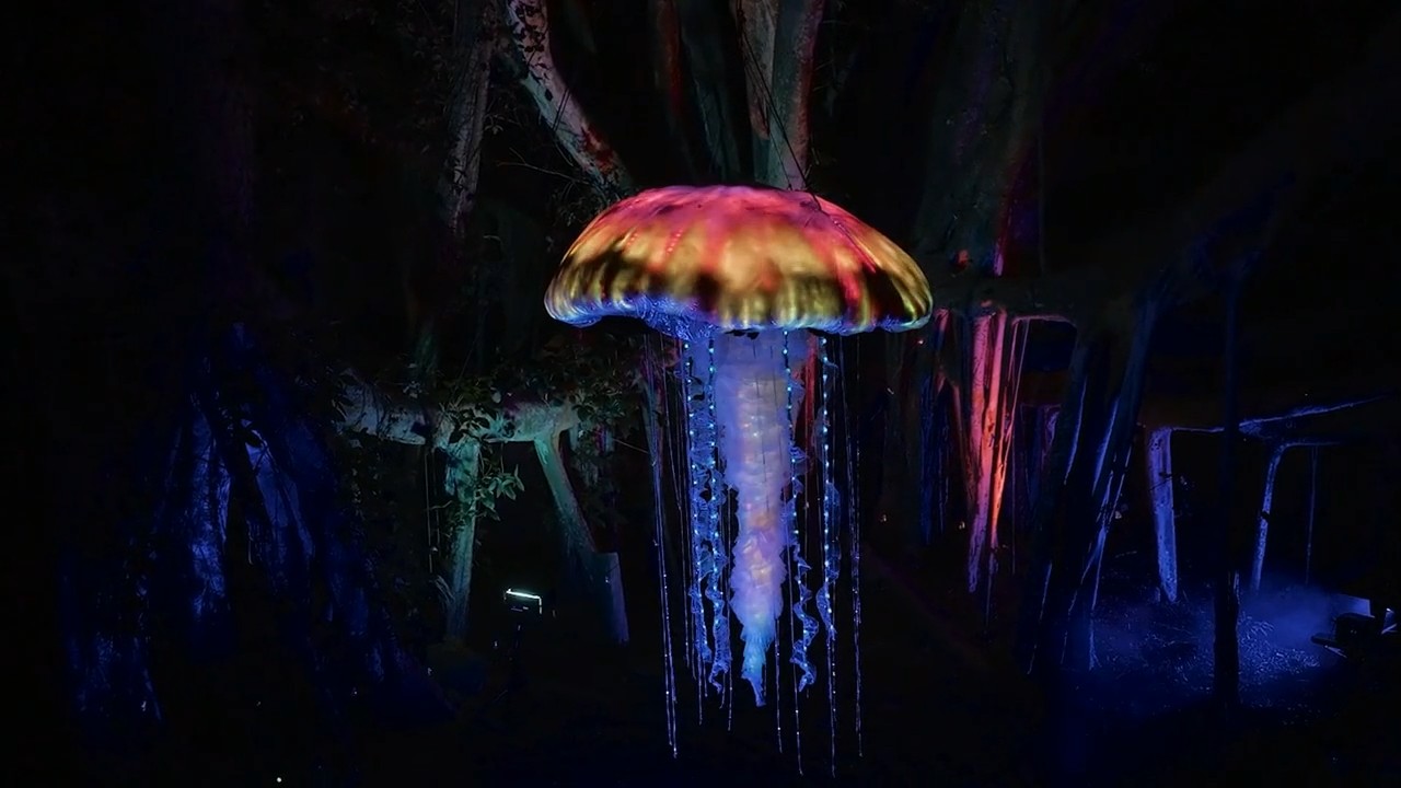Suspended LED jellyfish sculpture glowing in a banyan tree at a Big Island event at night