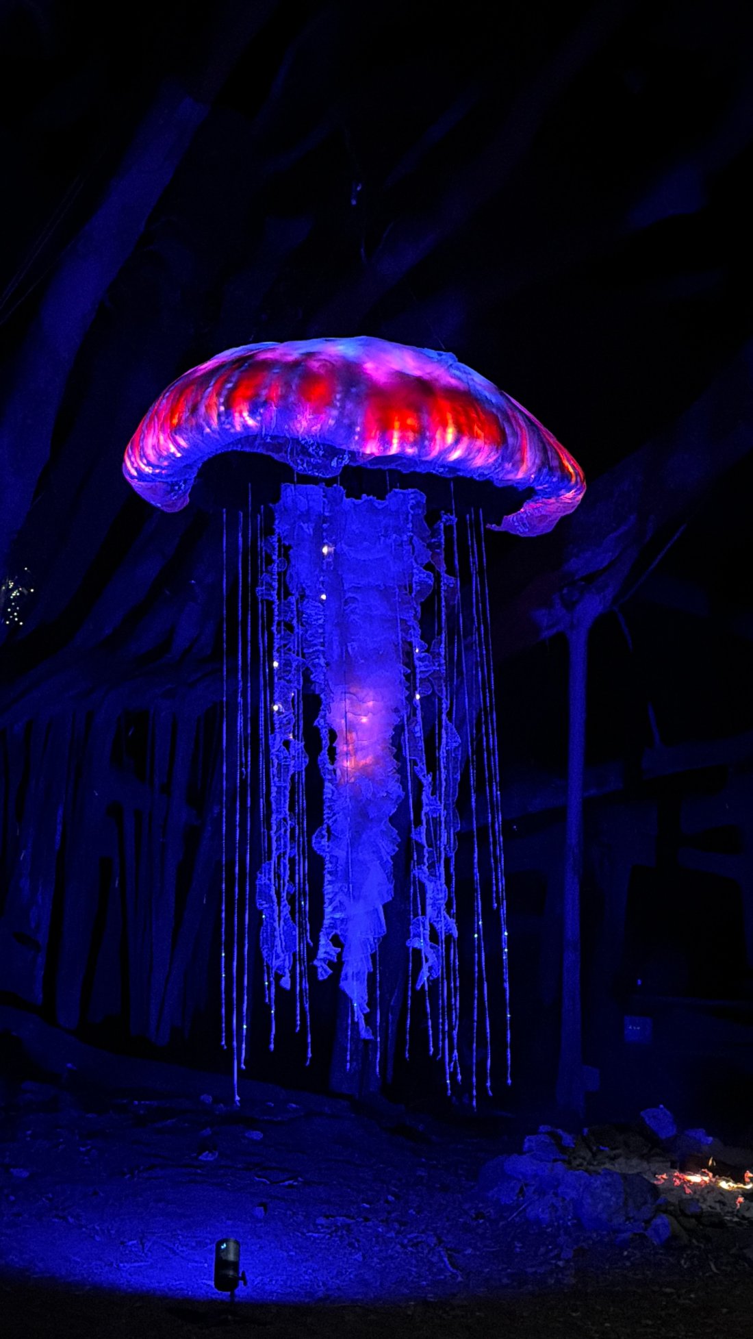 LED jellyfish sculpture glowing blue and red at a Big Island event