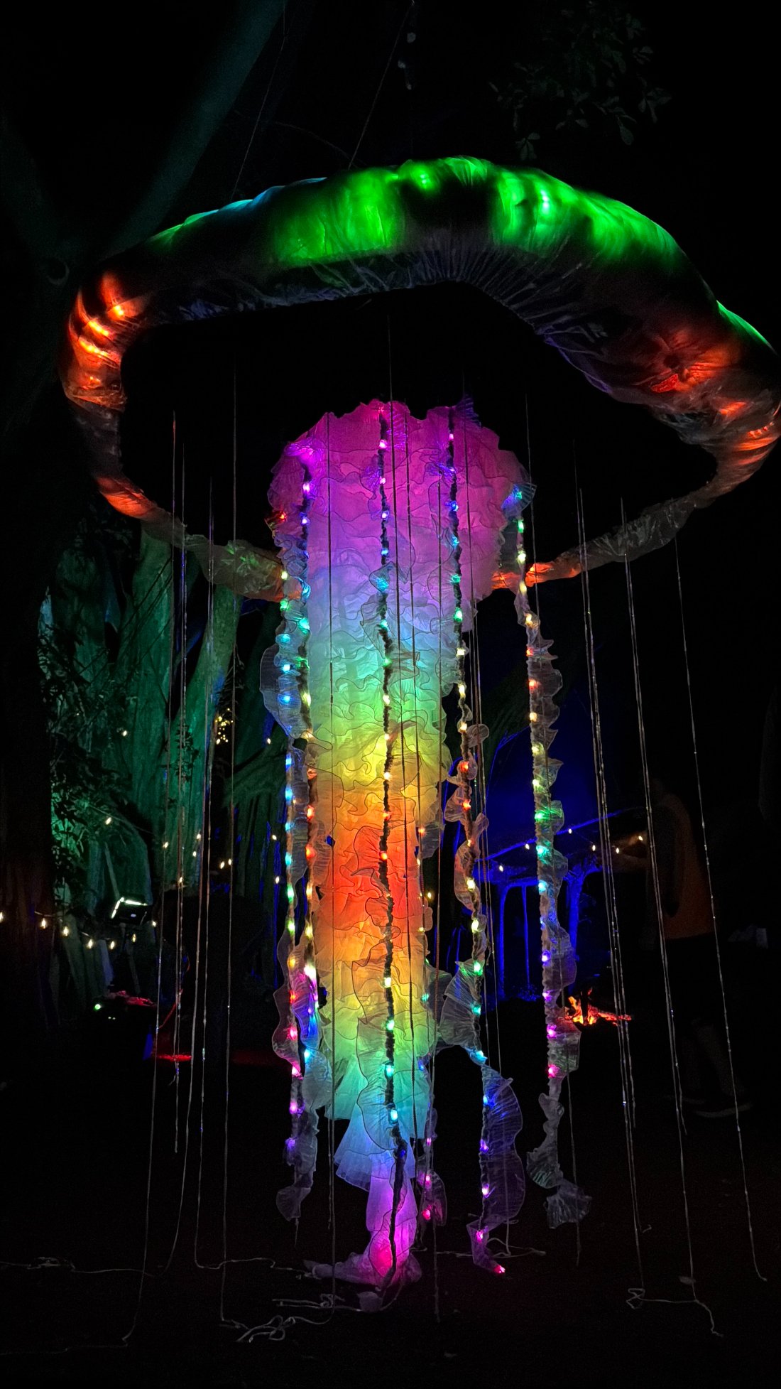 Rainbow LED jellyfish sculpture with glowing tentacles at night