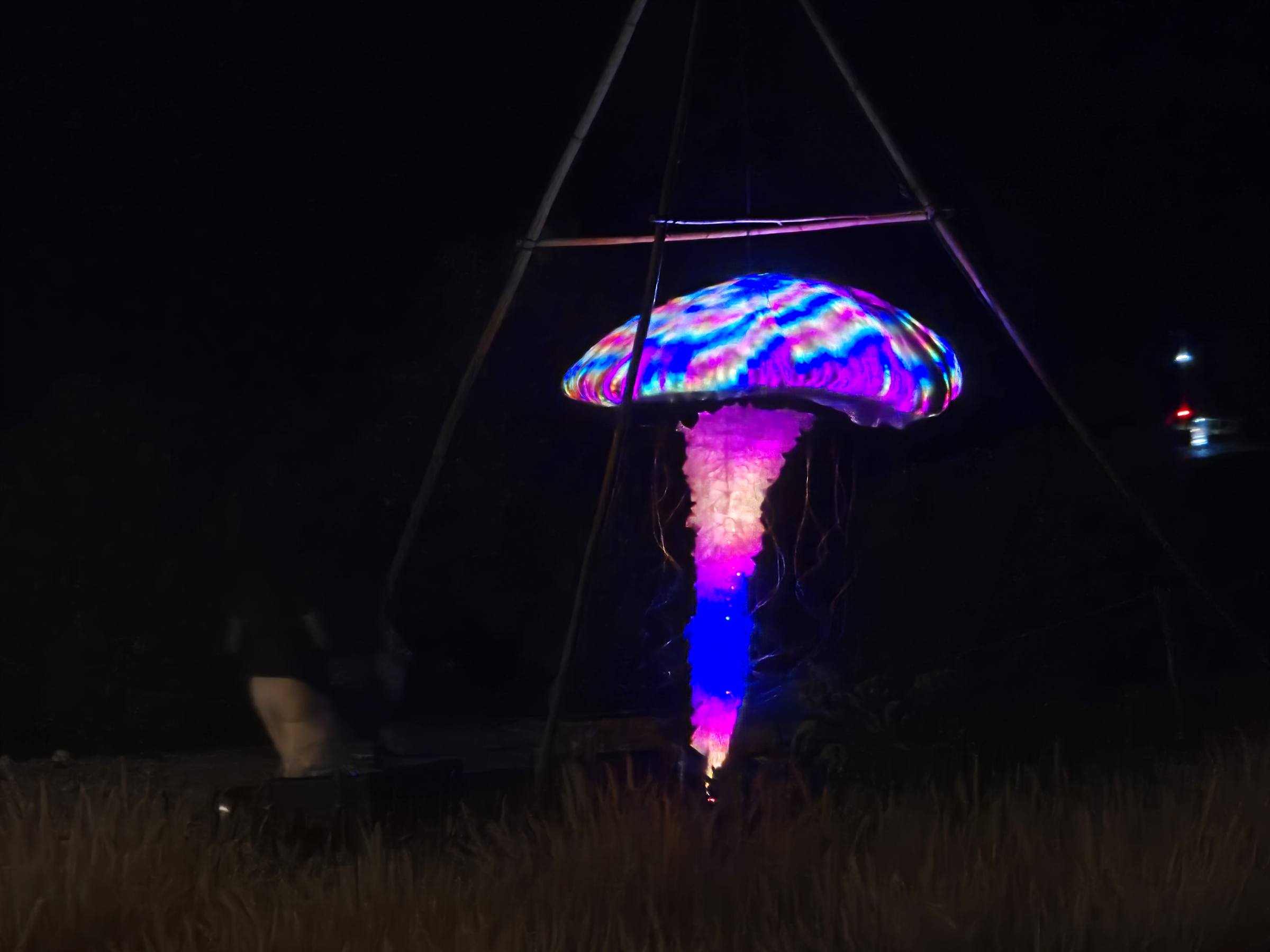 LED jellyfish sculpture glowing blue and pink on a bamboo tripod at night on the Big Island