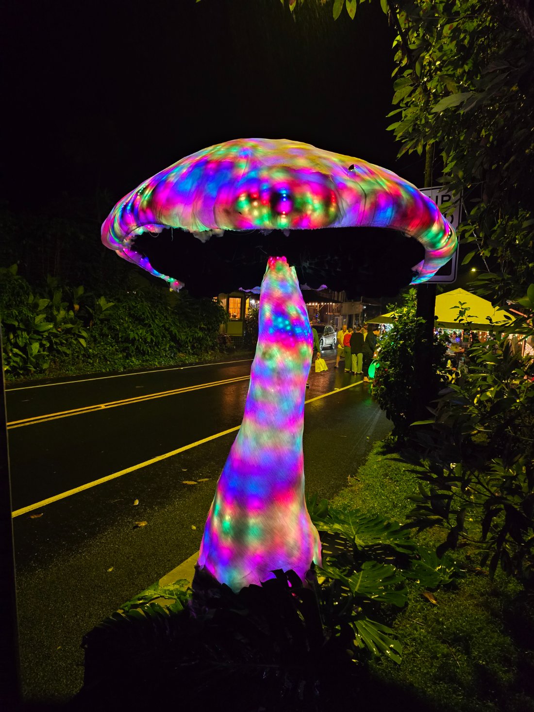 LED mushroom sculpture lit in rainbow colors on a Big Island street at night